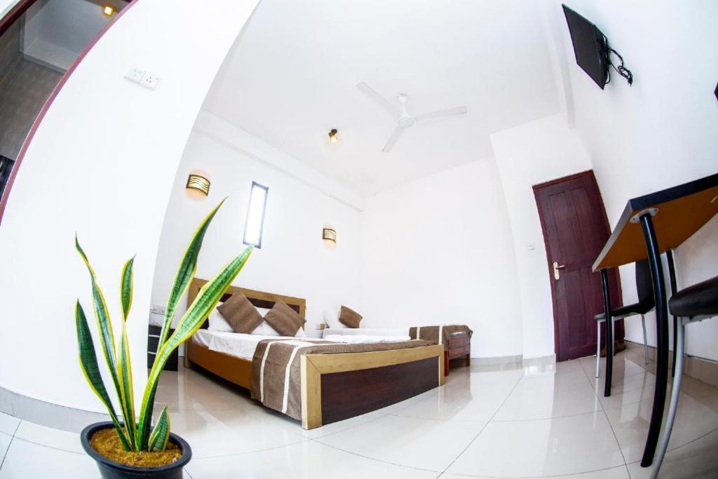 Hotel Blue Bird Негомбо Екстер'єр фото